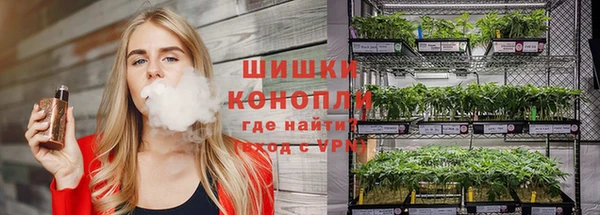 трава Алзамай